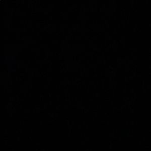 Meet your Posher, Lilly